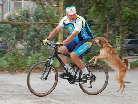 Как защититься от собак на велосипеде