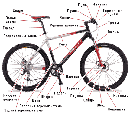 iz-chego-sostoit-velosiped-2