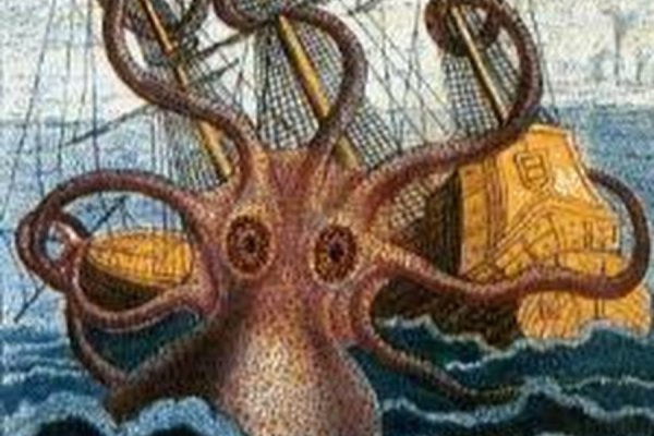 Kraken19at