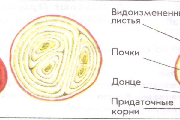 Как зайти в кракен торе