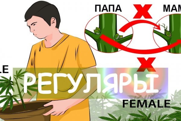 Кракен даркнет поддержка
