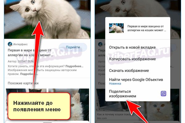 Кракен зеркало ссылка онлайн