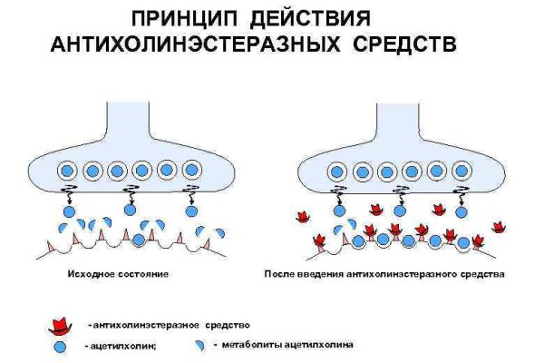 Кракен даркнет площадка