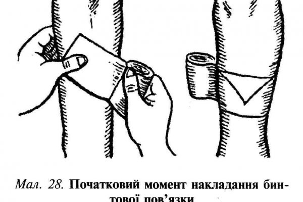 Ссылка на кракен шоп